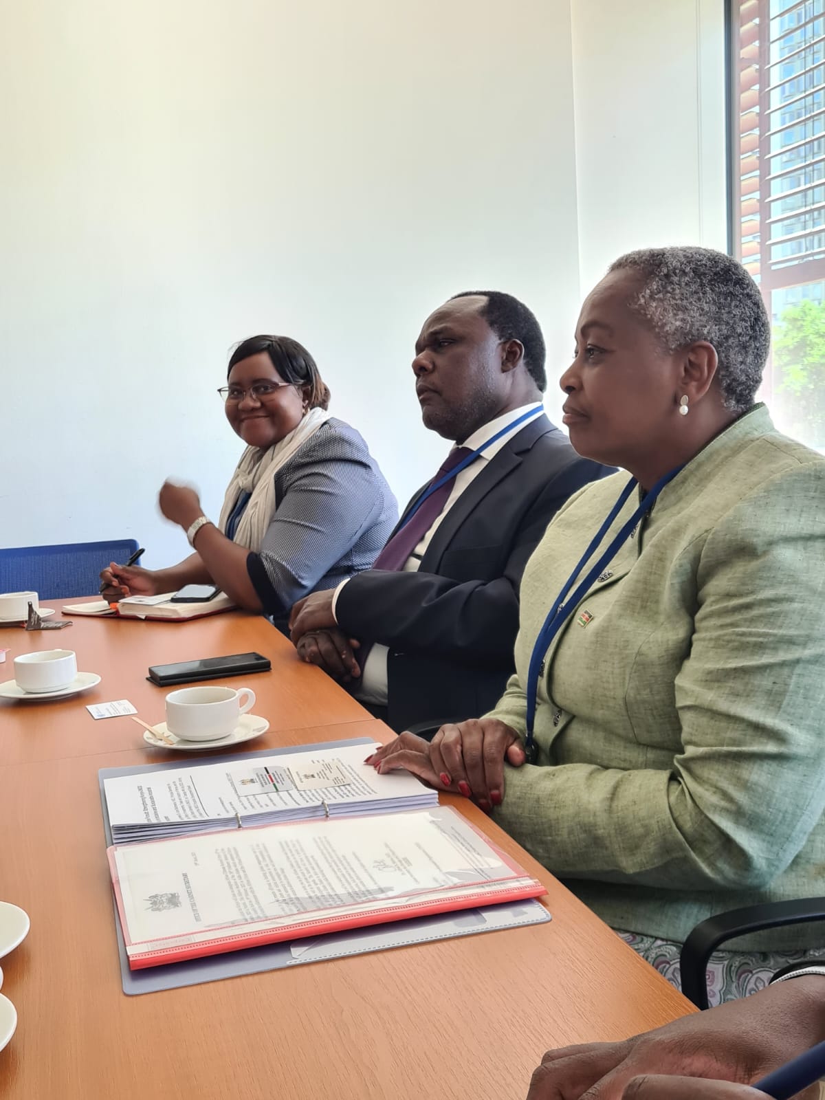 Kenya seeks UNIDO’s expertise to grow industries in the counties