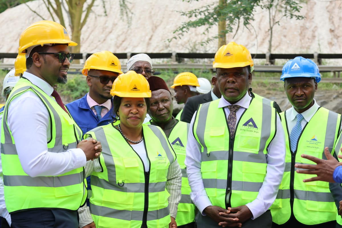 recommissioning of EA portlands