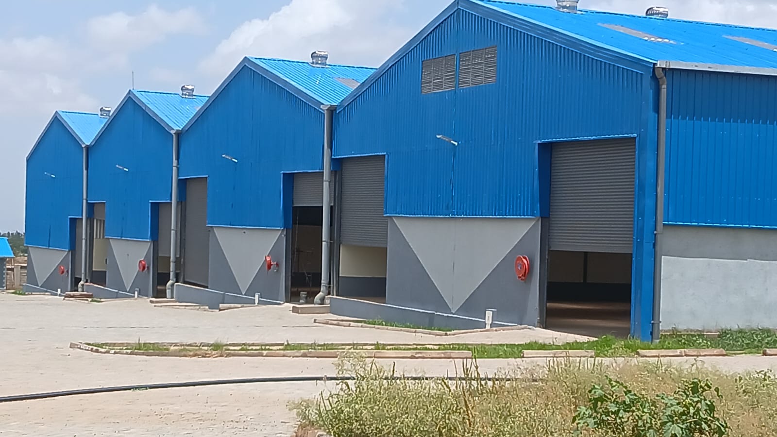 CAIPs Transform Central Kenya into a New Agro-Industrial Powerhouse