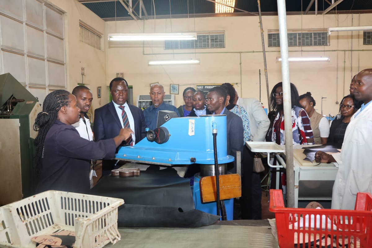 Kenanie Leather Industrial Park Set for Operationalization by December 2025